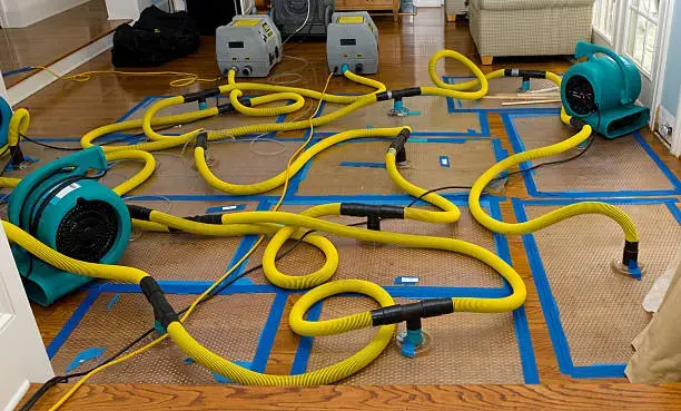 Floor drying mats and hoses on hardwood in a Fullerton home